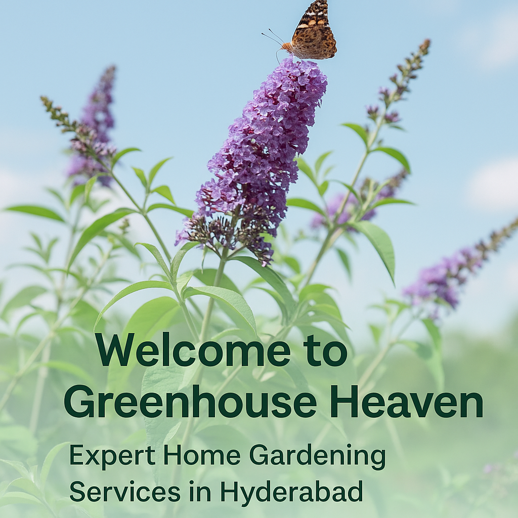 Greenhouse Heaven - Home Gardening Services in Hyderabad
