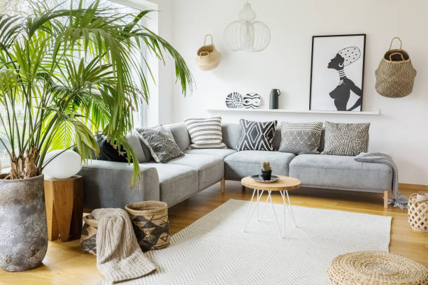Butterfly Palm: The Perfect Indoor Plant for Style & ClAirean