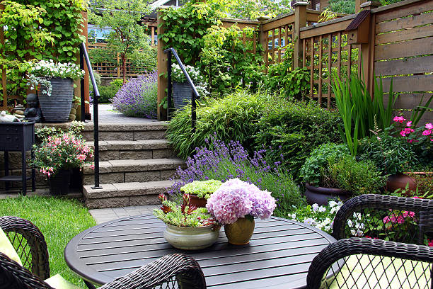Greenhouse Heaven - Home Gardening Services in Hyderabad